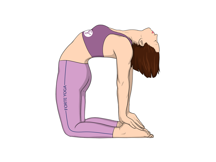 pose Yoga  is bend Pose back yoga chest camel that pose abs beginners  the for a Camel  and targets and