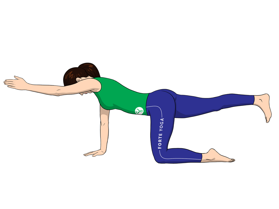 Hands and Knees Balance Yoga Pose - Forte Yoga