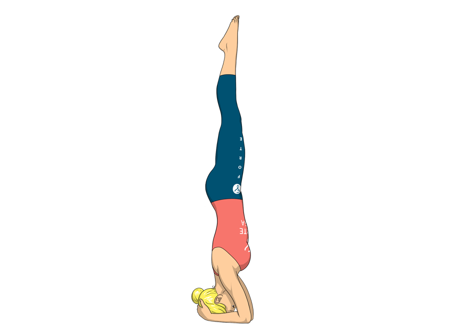 Image result for Supported Headstand