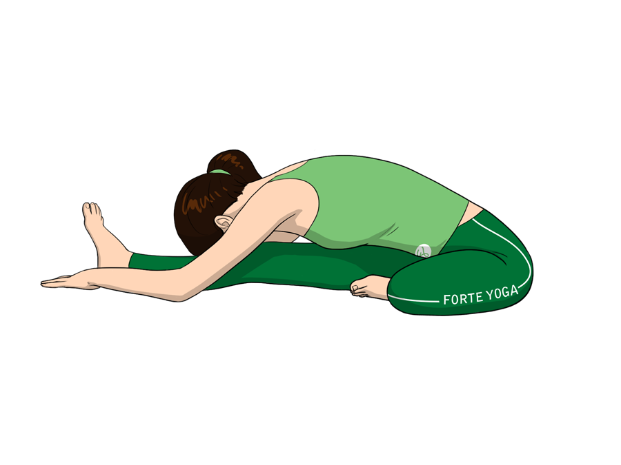 Head to Knee Forward Bend Yoga Pose - Forte Yoga