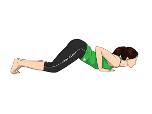Eight Limb Yoga Pose