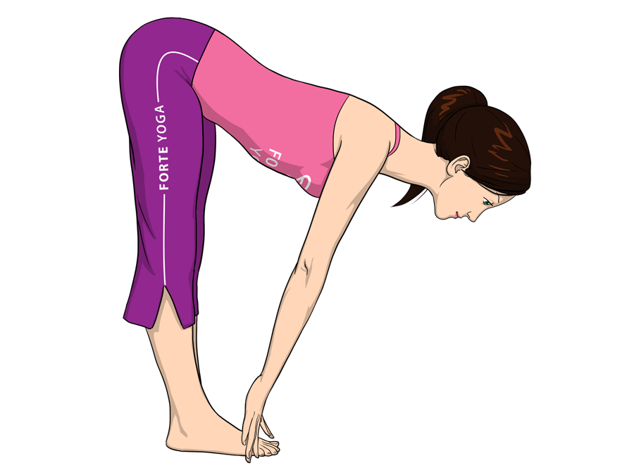 Standing Half Forward Bend Yoga Pose - Forte Yoga.