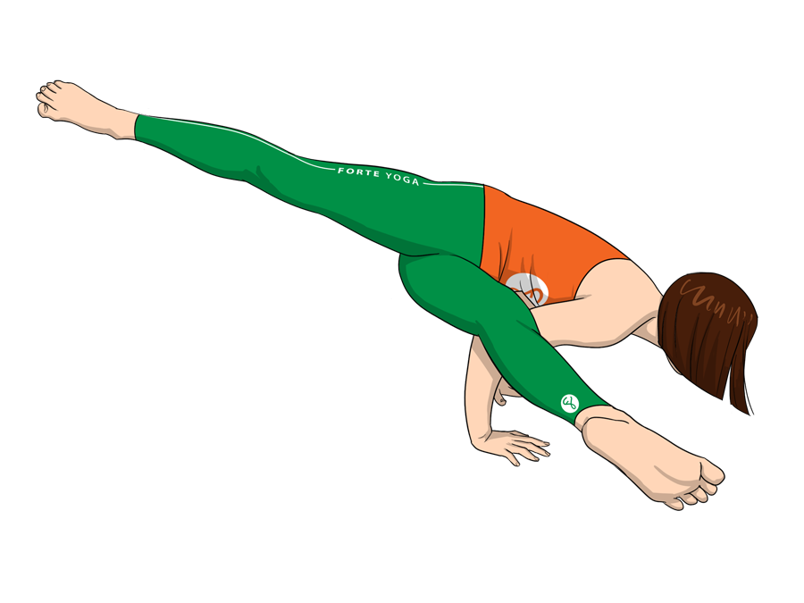 Twisted One Legged Arm Balance Yoga Pose